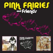 Pink Fairies and Friends