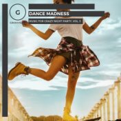 Dance Madness - Music For Crazy Night Party, Vol. 3