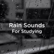 !!" Rain Sounds For Studying "!!