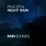 Peaceful Night Rain