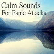 Calm Sounds For Panic Attacks