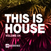 This Is House, Vol. 04