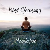 Mind Cleansing Meditation: Reset Your Mind, Be More Mindful and Clear-Headed