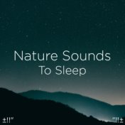 ±!!" Nature Sounds To Sleep "!!±