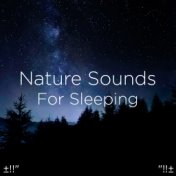 ±!!" Nature Sounds For Sleeping "!!±