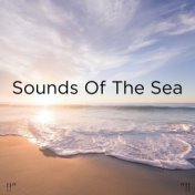 !!" Sounds Of The Sea "!!