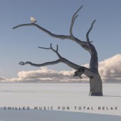 Chilled Music for Total Rekax
