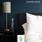 Sleeping Music