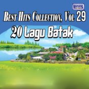 Best Hits Collection, Vol. 29