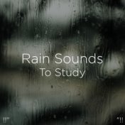 !!" Rain Sounds To Study "!!