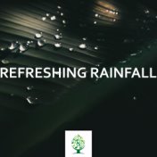 Refreshing Rainfall Album from Nature