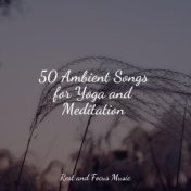 50 Ambient Songs for Yoga and Meditation