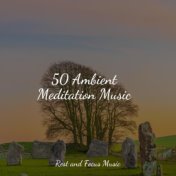 50 Ambient Meditation Music