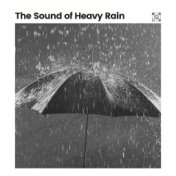 The Sound of Heavy Rain