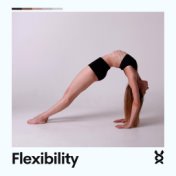 Flexibility