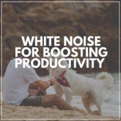 White Noise for Boosting Productivity