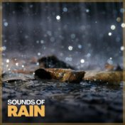 Sounds of Rain