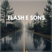 Flash E Sons