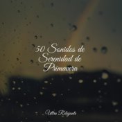 50 Sonidos de Serenidad de Primavera