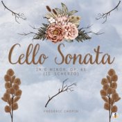Cello Sonata in G Minor, Op. 65 - II. Scherzo