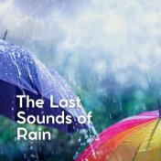 The Last Sounds of Rain