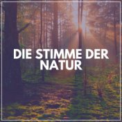 Die Stimme Der Natur