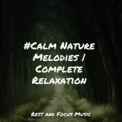 #Calm Nature Melodies | Complete Relaxation