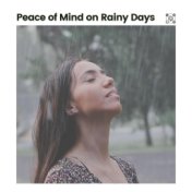Peace of Mind on Rainy Days
