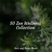 50 Zen Wellness Collection