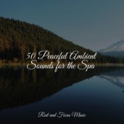 50 Peaceful Ambient Sounds for the Spa