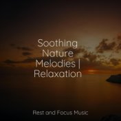 Soothing Nature Melodies | Relaxation