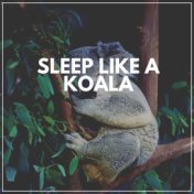 Sleep Like a Koala