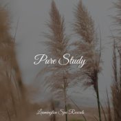 Pure Study