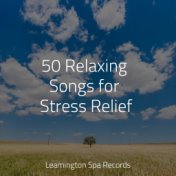 50 Relaxing Songs for Stress Relief