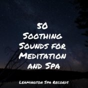 50 Soothing Sounds for Meditation and Spa
