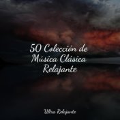 50 Colección de Música Clásica Relajante