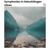 Symphonien in Naturklängen hören