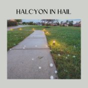 Halcyon in Hail