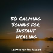 50 Calming Sounds for Instant Healing