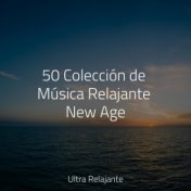 50 Colección de Música Relajante New Age
