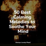 50 Best Calming Melodies to Soothe Your Mind