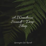 A Wondrous Sounds | Deep Sleep