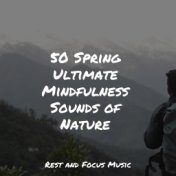 50 Spring Ultimate Mindfulness Sounds of Nature