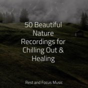 50 Beautiful Nature Recordings for Chilling Out & Healing