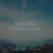 Beautiful Nature Music