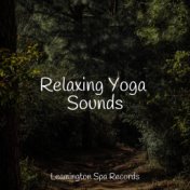 Relaxing Yoga Sounds