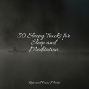 50 Sleepy Tracks for Sleep and Meditation