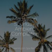 50 Meditation Sounds - Ambient Compilation