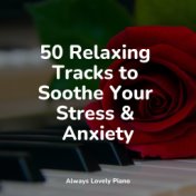 50 Relaxing Tracks to Soothe Your Stress & Anxiety