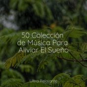 50 Colección de Música Para Aliviar El Sueño